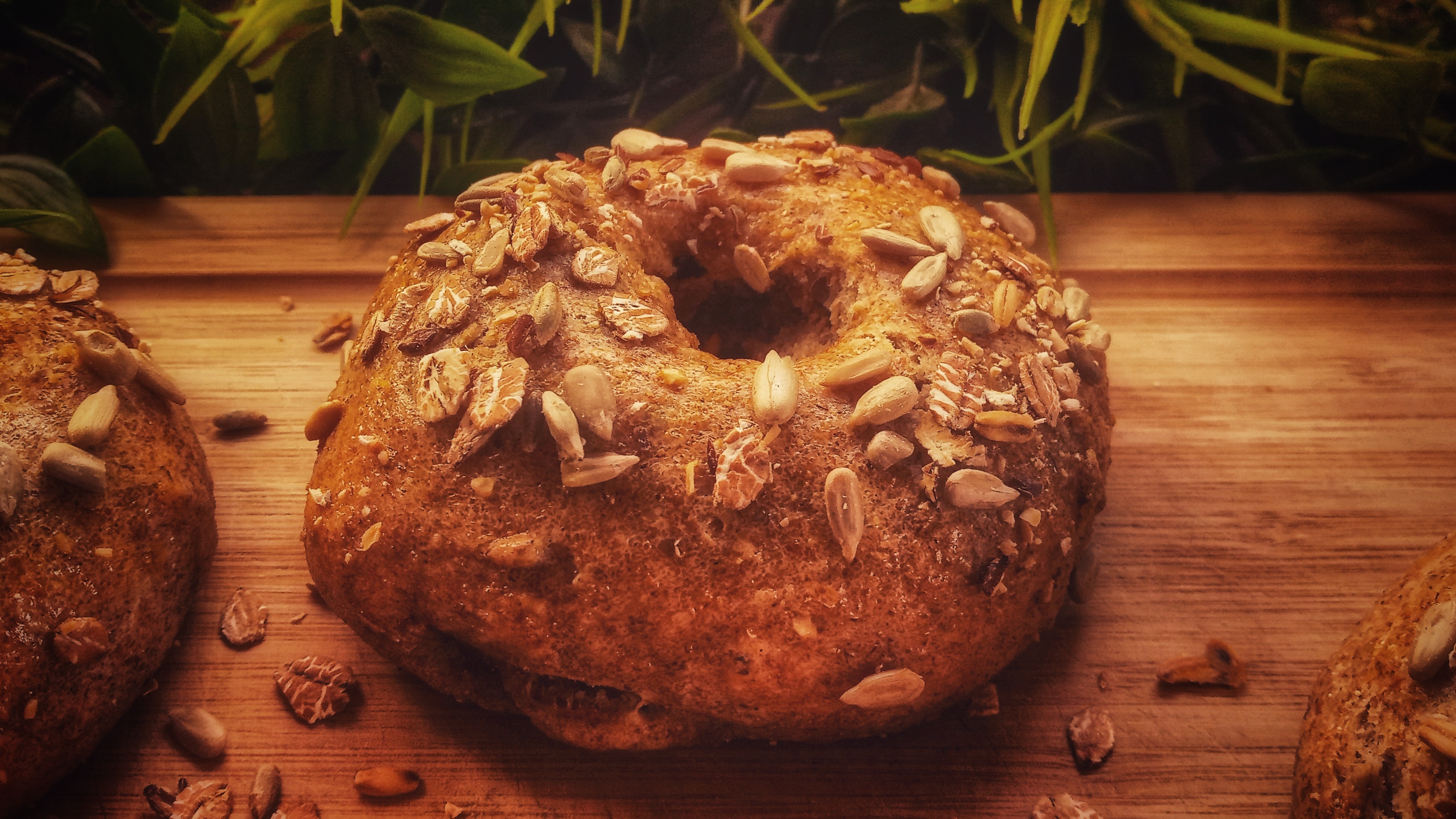 ./bagel.jpeg ./bagel.jpeg
